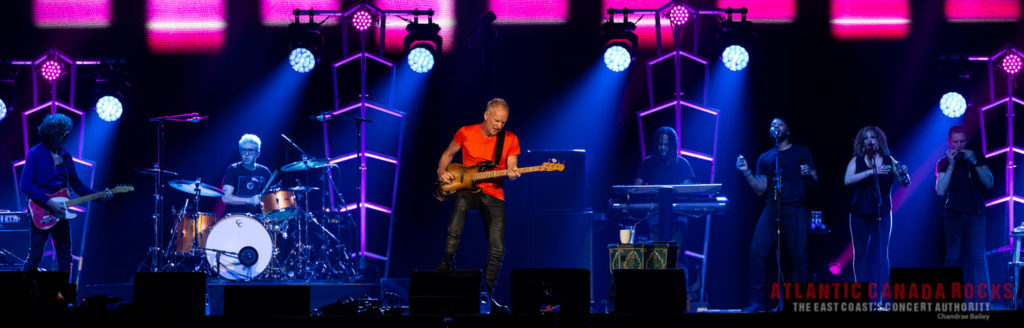 sting